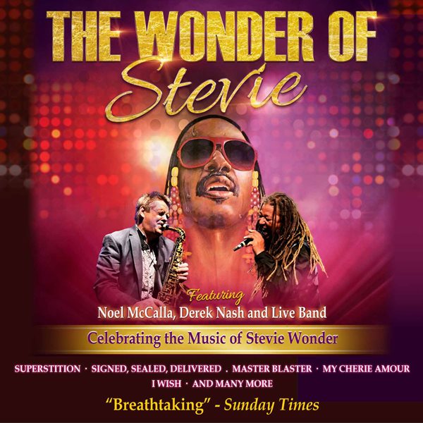 The Wonder of Stevie