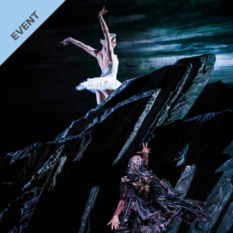 RBO: Swan Lake